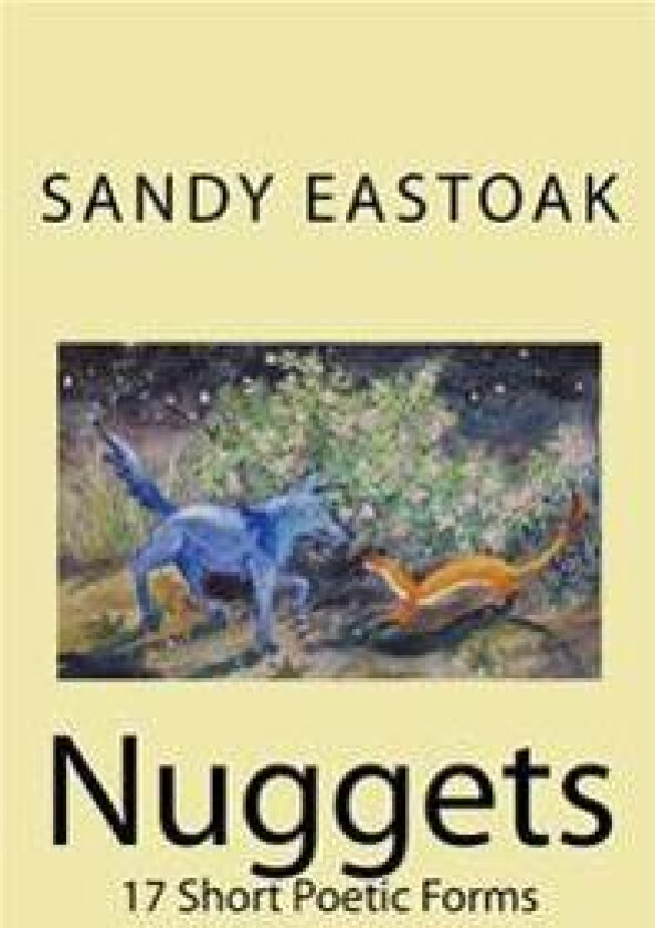 Nuggets: 17 Short Poetic Forms