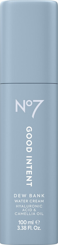 Good Intent Dew Bank Water Cream 100 ml