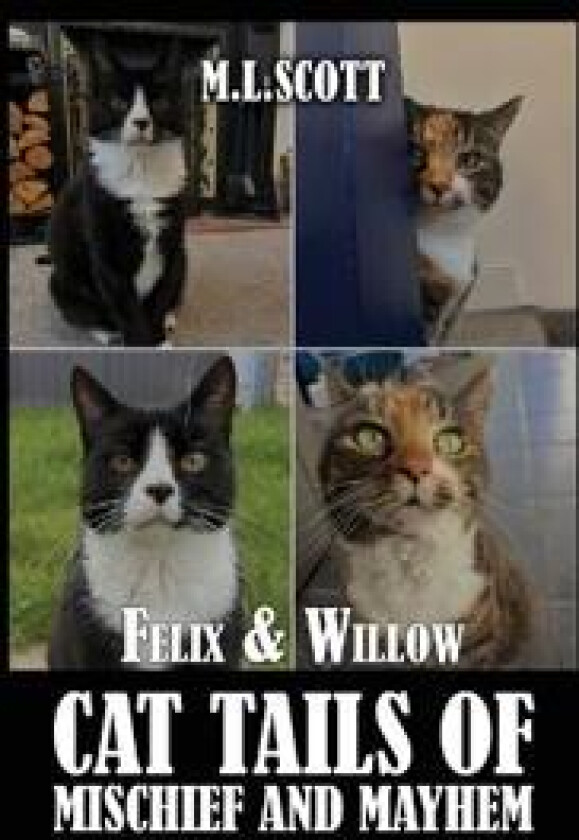 Felix & Willow cat tails of mischief and mayhem