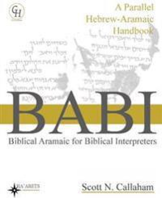 Biblical Aramaic for Biblical Interpreters