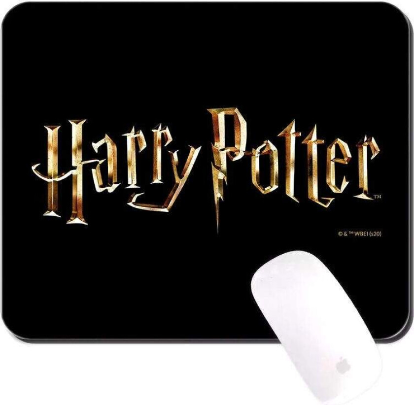 Harry Potter musematte