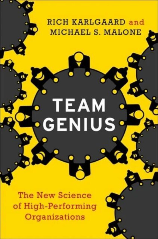 Team Genius av Rich Karlgaard, Michael S. Malone
