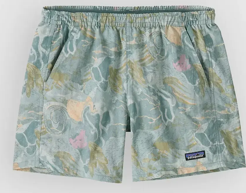 Baggies - 5 In. Shorts blå