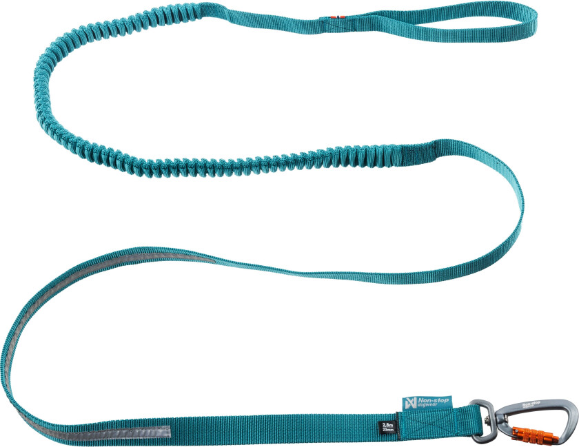 Touring Bungee Leash Teal 2 meter | 23 mm
