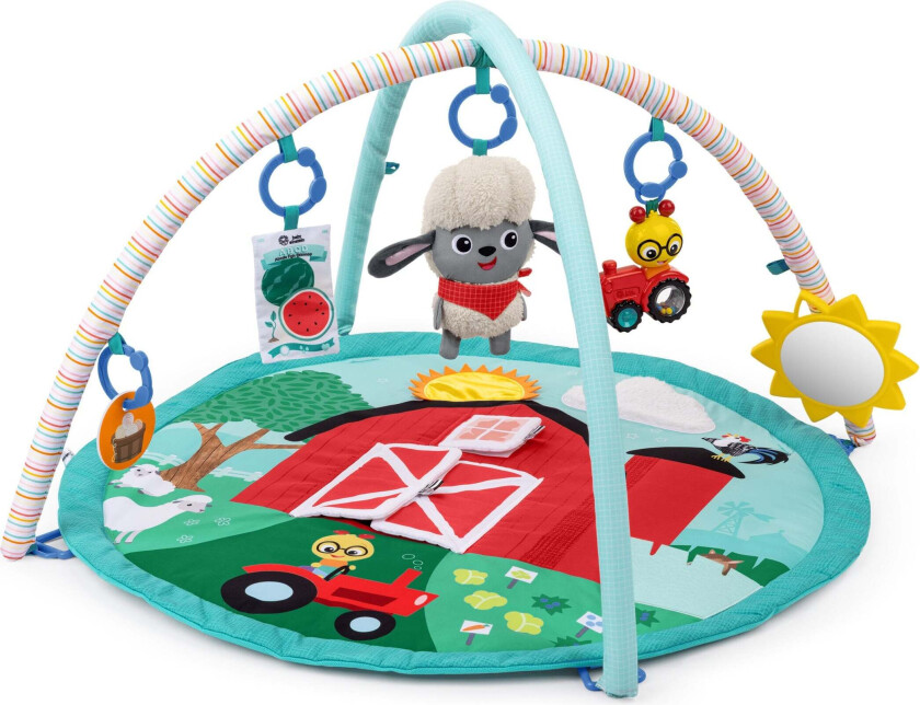 Touch&Feel Activity Gym (BE-17326)