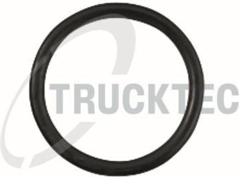 04.24.133 O-ring, reparasjonssett