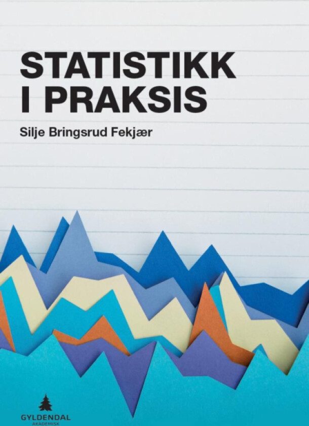 Statistikk i praksis av Silje Bringsrud Fekjær