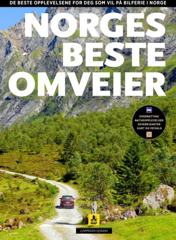 Norges beste omveier av Per Roger Lauritzen, Reidar Stangenes
