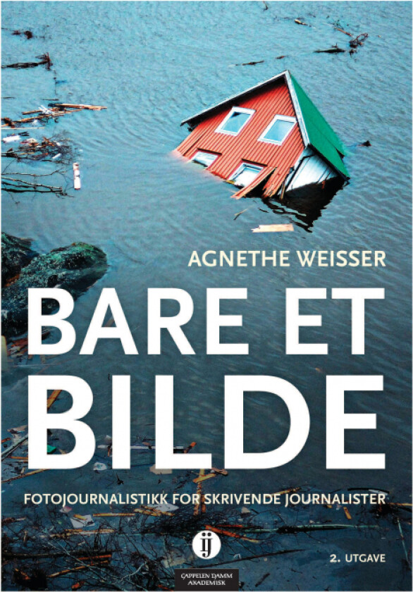 Bare et bilde av Agnethe Weisser