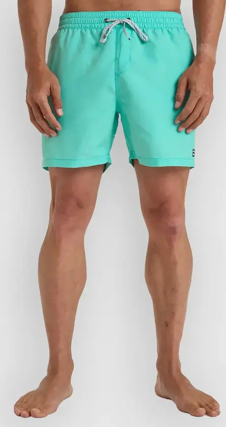 All Day Lb Boardshorts grønn