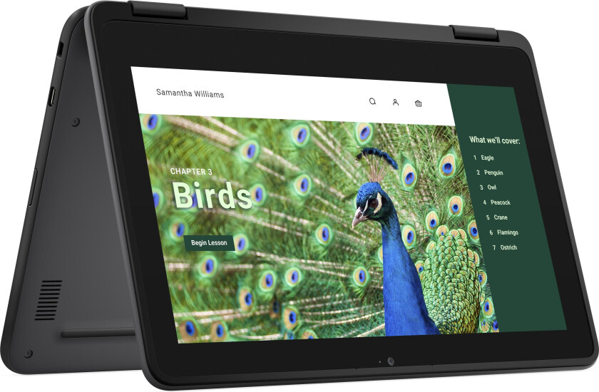 CHROMEBOOK 3120 4GB 64GB EMMC 11.6IN HD+ TOUCH 2IN1 65W C TNBK