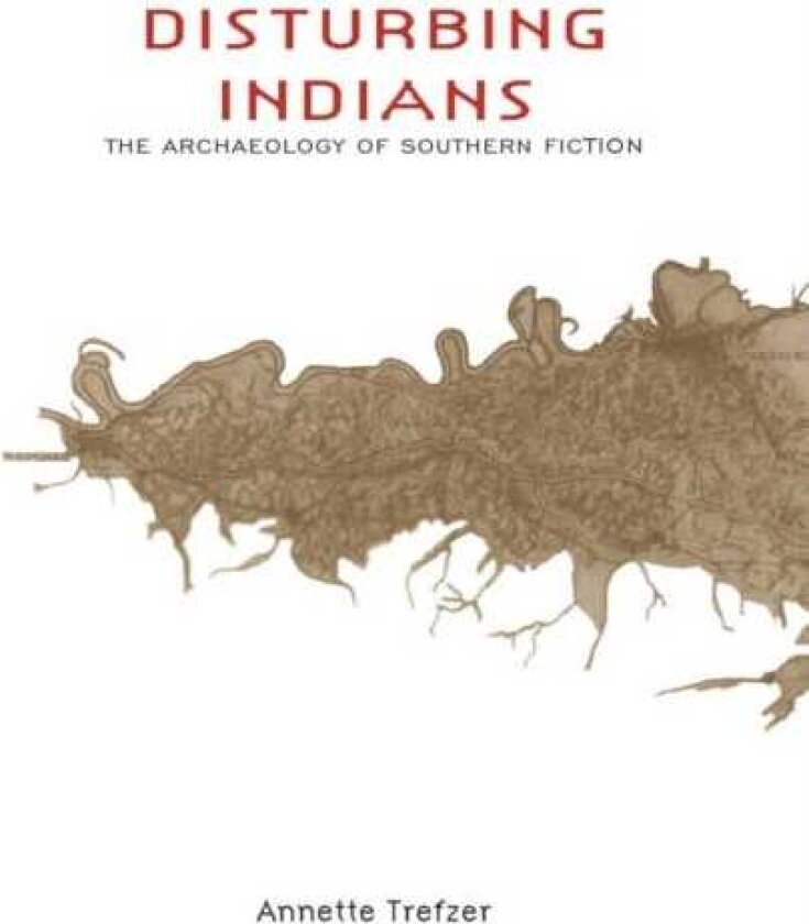 Disturbing Indians The Archaeology of Southern Fiction