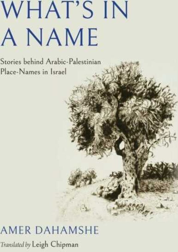 What's in a Name Stories Behind ArabicPalestinian PlaceNames in Israel