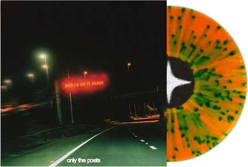 Only The Poets and i'd do it again LP/Vinyl