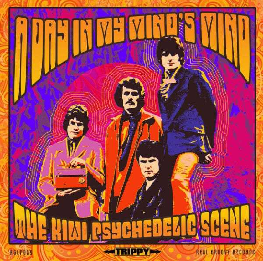 Diverse Artister Day In My Mind's Mind: The Kiwi Psychedlic Scene CD