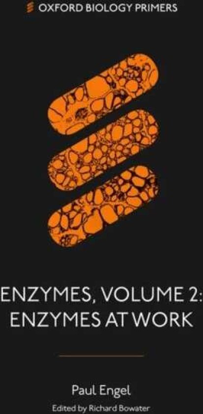 Enzymes, Volume 2 Enzymes at Work