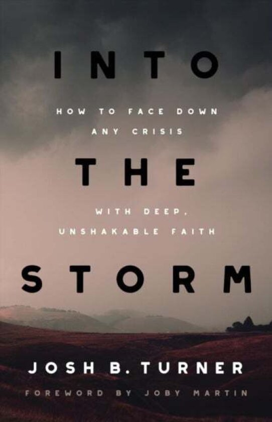 Into the Storm av Josh B. Turner