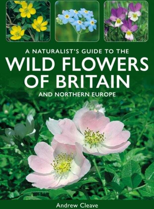 A Naturalist's Guide to the Wild Flowers of Britain and Northern Europe av Andrew Cleave