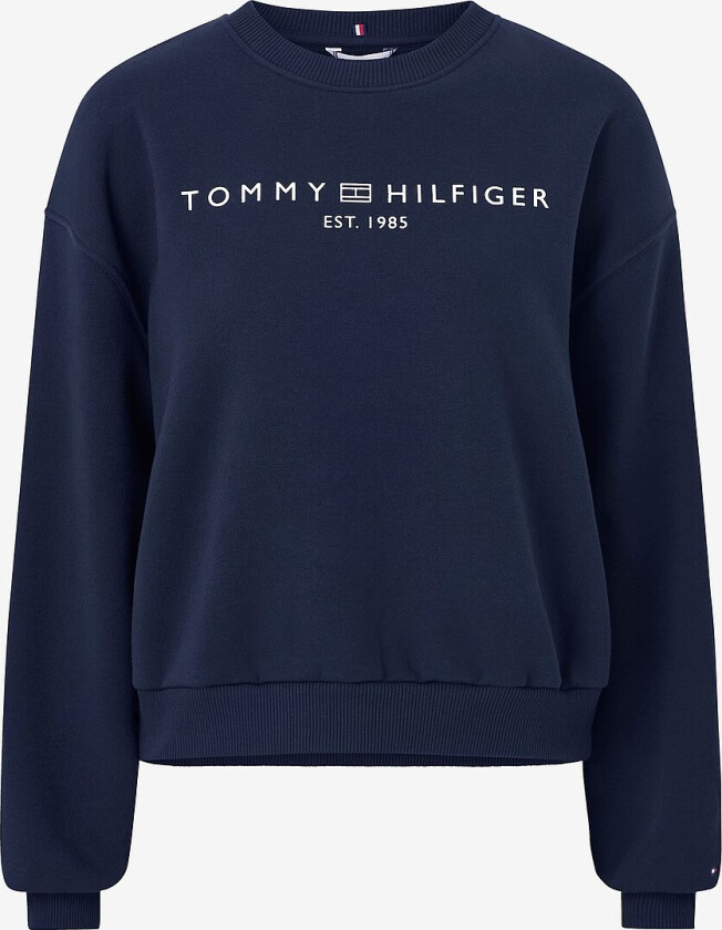 Collegegenser Corp Logo Mdrn - Blå