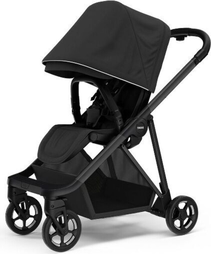 Thule Shine - Black on Black