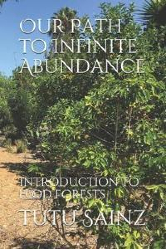 Our Path to Infinite Abundance