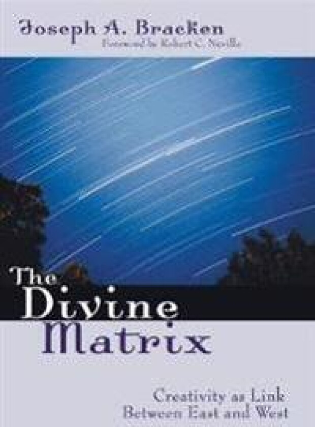 The Divine Matrix