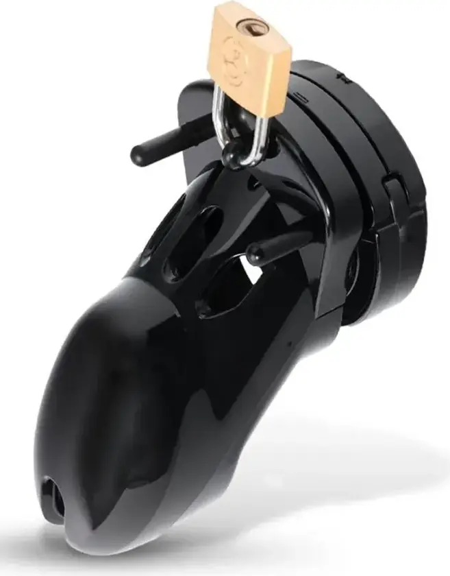 Custody Chastity Cage