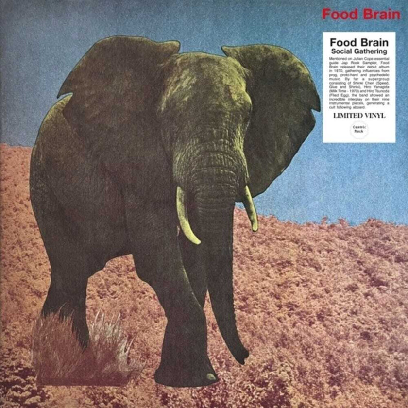 Foodbrain Social Gathering LP/Vinyl