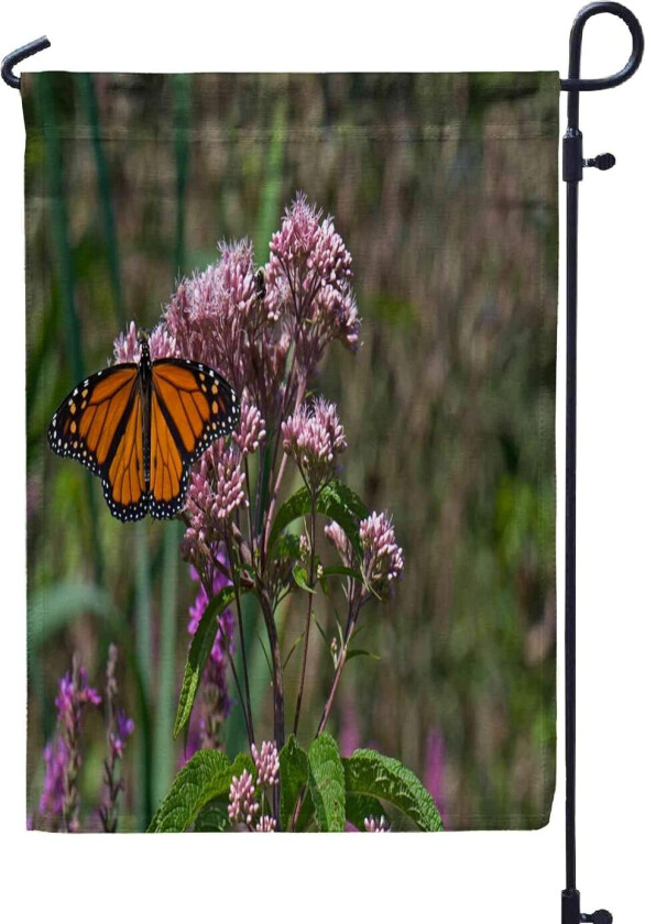 Charly Garcia Yendo De La Cama Al Living CD