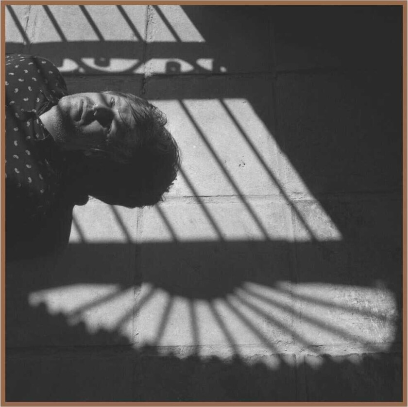 Dani Llamas La Verdad LP/Vinyl