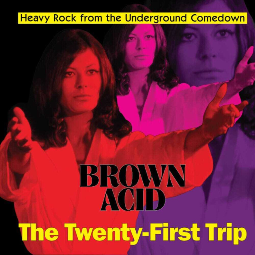 Diverse Artister Brown Acid The Twentyfirst Trip CD