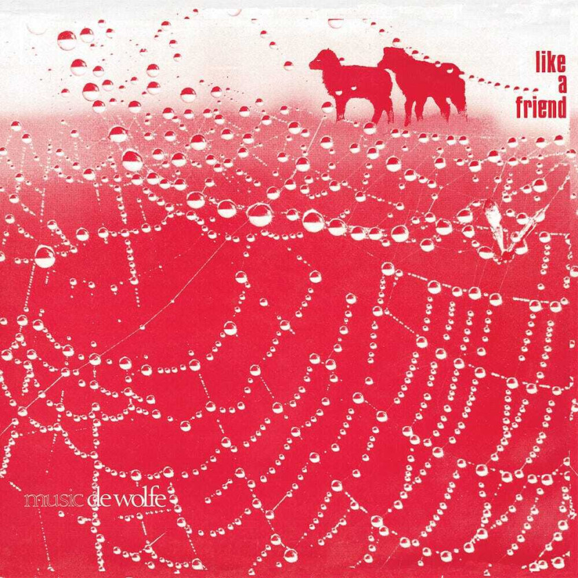 ROGER WEBB Like A Friend LP/Vinyl