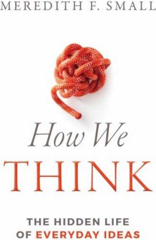 How We Think The Hidden Life of Everyday Ideas