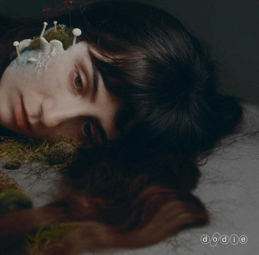 dodie Not For Lack Of Trying CD