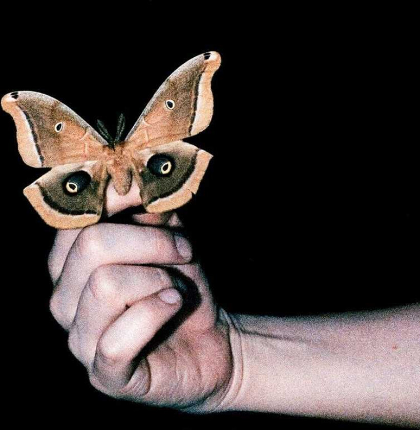 Soulwax All Systems Are Lying CD