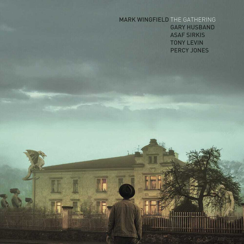Mark Wingfield Gathering LP/Vinyl