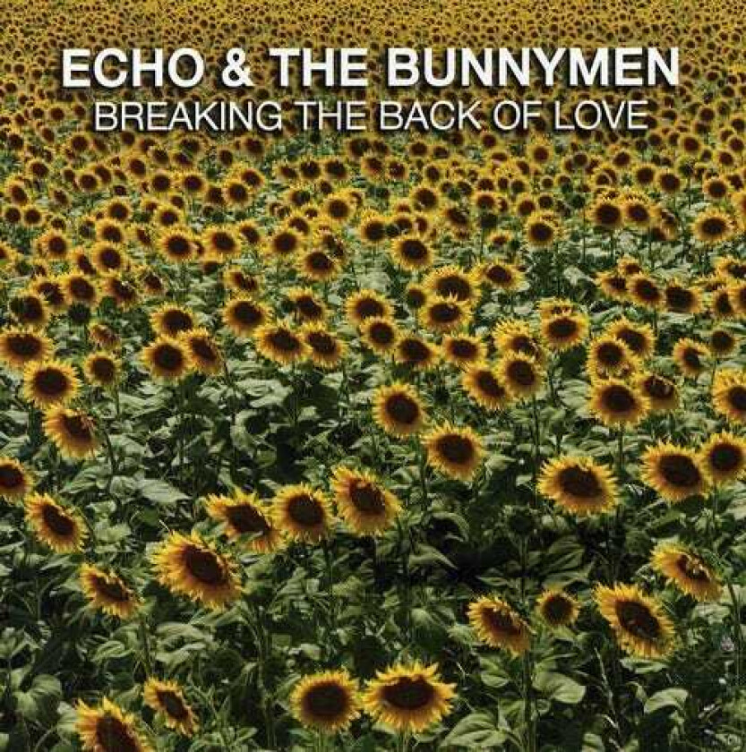 Echo & Bunnymen Breaking The Back Of Love CD