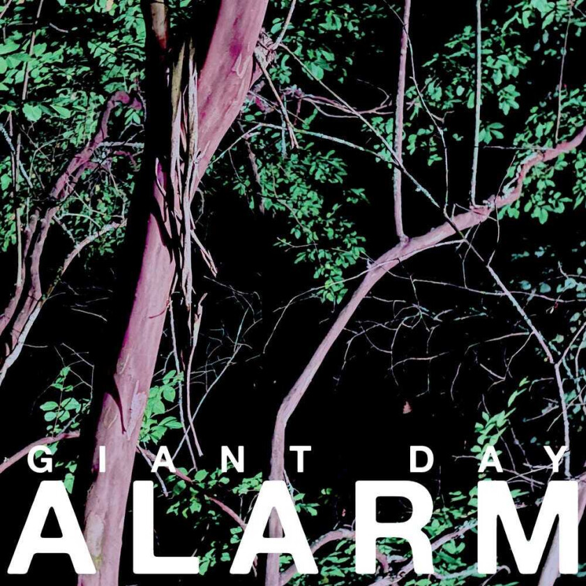 Giant Day Alarm LP/Vinyl