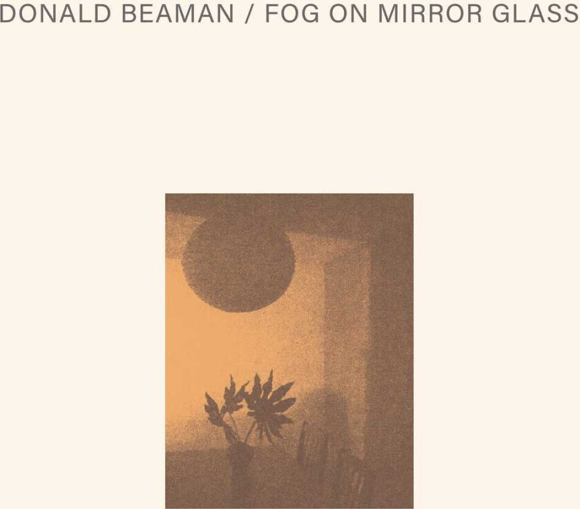 Donald Beaman Fog On Mirror Glass LP/Vinyl
