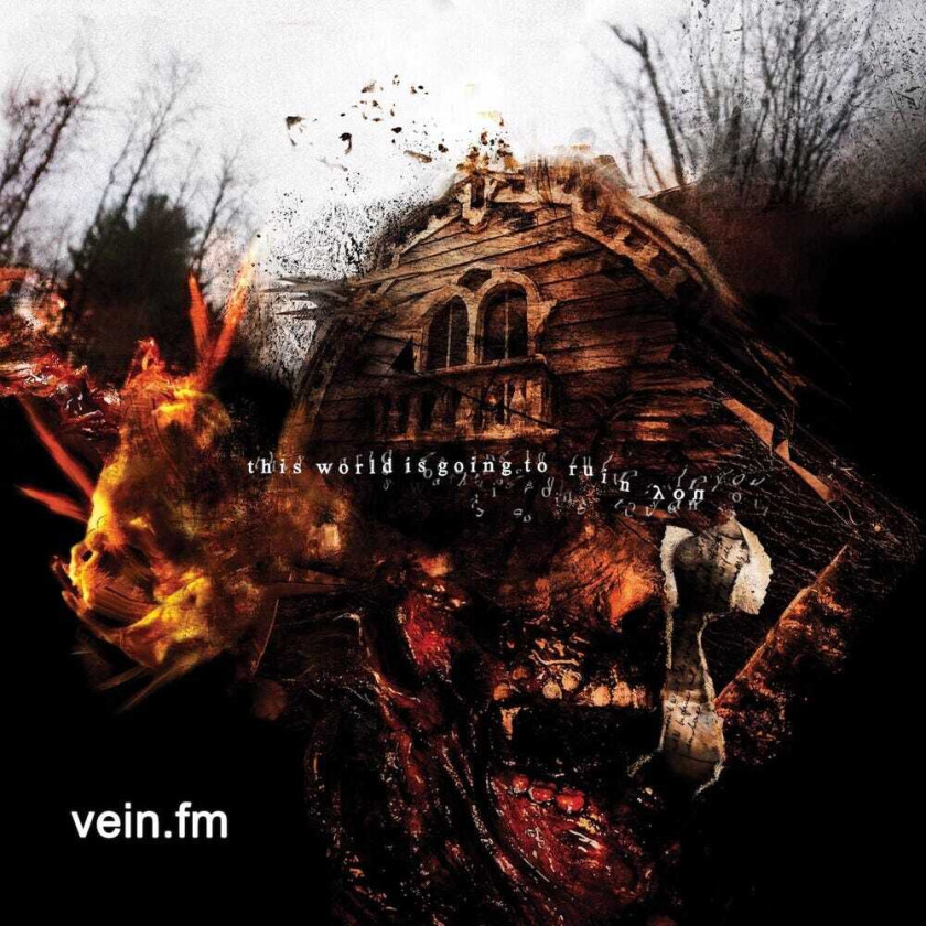 Vein.Fm This World Is Going To Ruin You LP/Vinyl