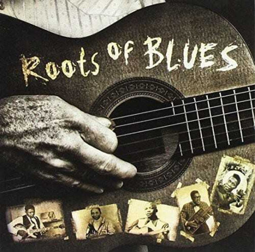 Diverse Artister Roots Of Blues CD