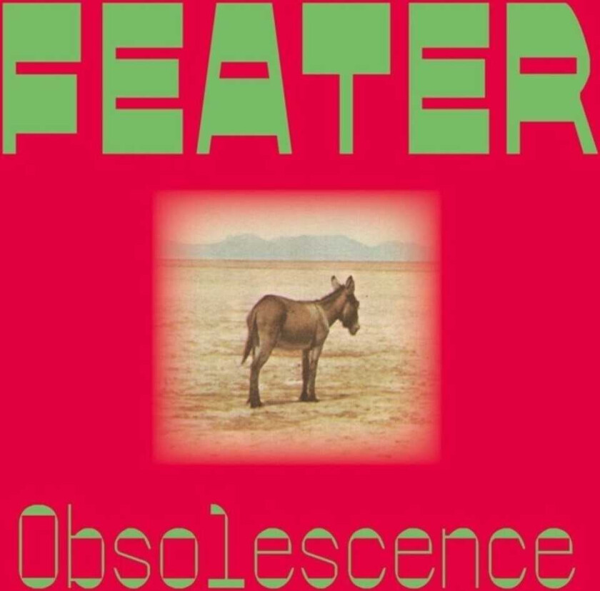 Feater Obsolescence LP/Vinyl