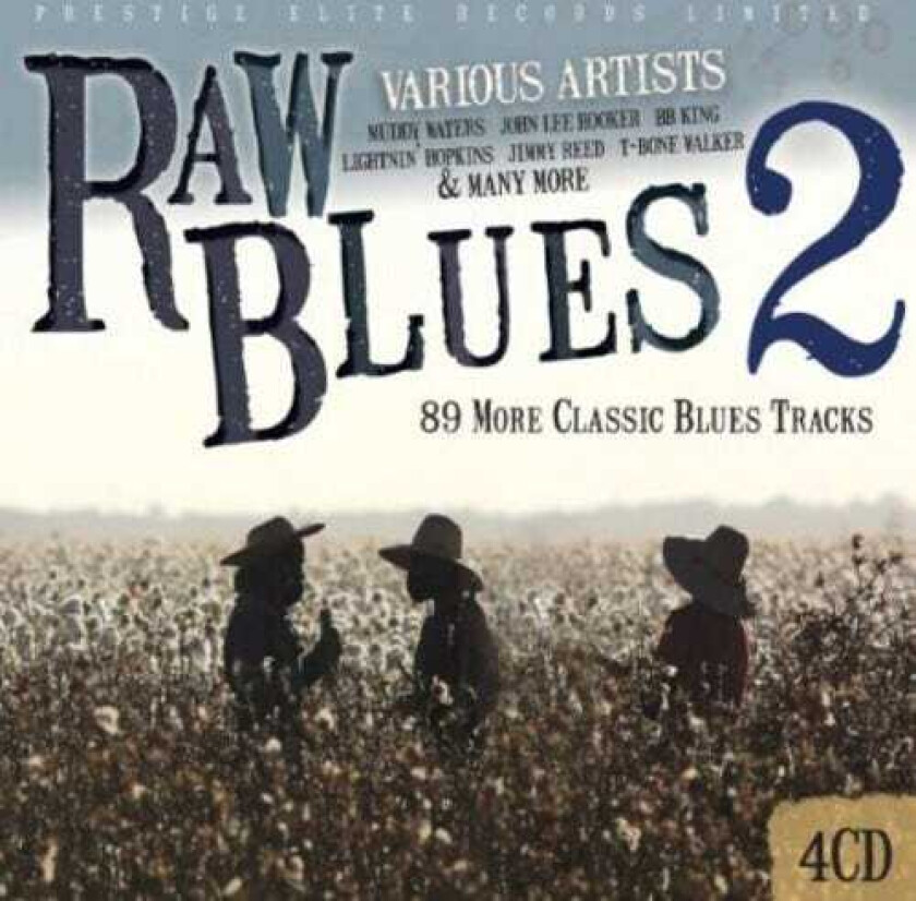 Diverse Artister Raw Blues 2 CD