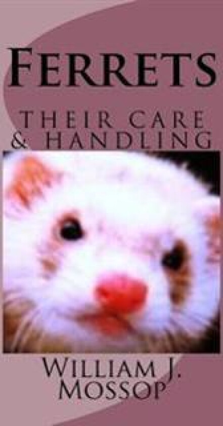 Ferrets: Their Care & Handling