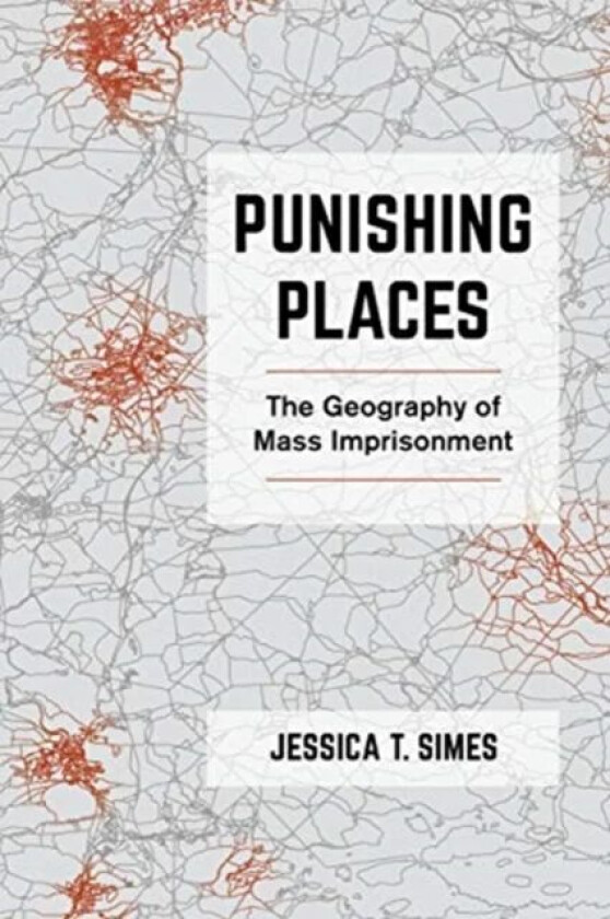 Punishing Places av Jessica T. Simes