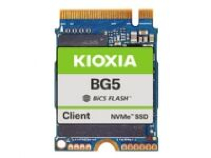 BG5 PCI-E 4.0 M.2 2280 SSD - 1TB