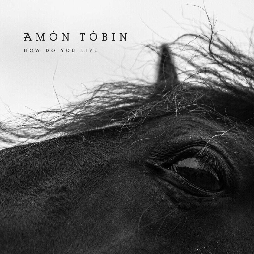 Amon Tobin How Do You Live LP/Vinyl