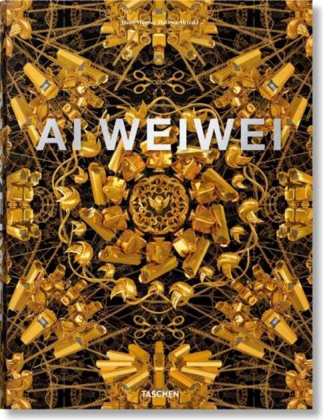 Ai Weiwei. Updated Edition