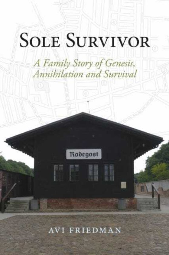 Sole Survivor A Family Story of Genesis, Annihilation and Survival