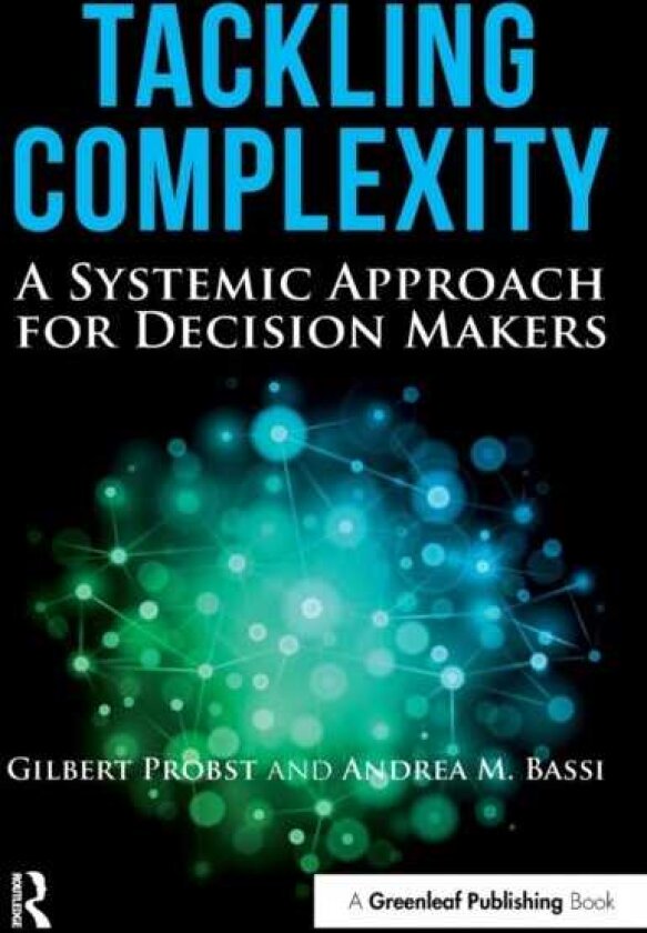 Tackling Complexity A Systemic Approach for Decision Makers